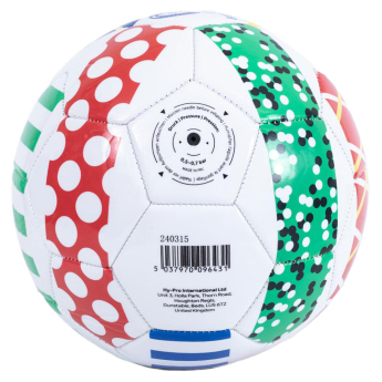 EURO 2024 fotbalový míč Patterned size - 5