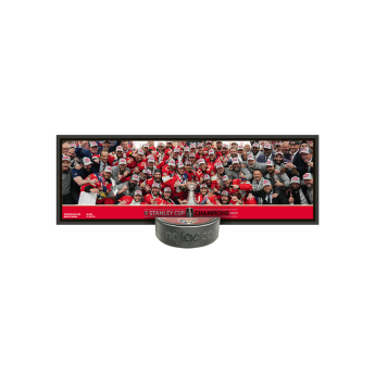 Florida Panthers sběratelská plaketa 2024 Stanley Cup Champions Deco Plaque