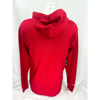 Detroit Red Wings pánská mikina s kapucí Thermal Lightweight Hoodie Current Logo