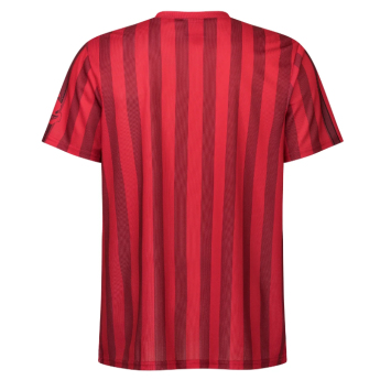 Detroit Red Wings pánské tričko Soccer Style Jersey