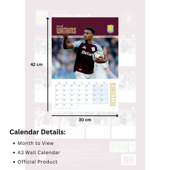 Aston Villa kalendář 2025