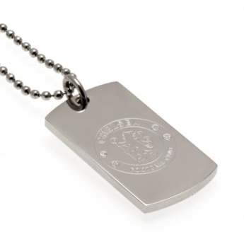 FC Chelsea řetízek na krk se psí známkou DT engraved