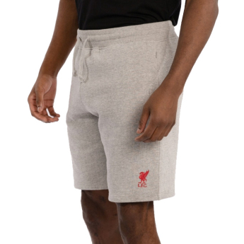 FC Liverpool pánské kraťasy sweat grey