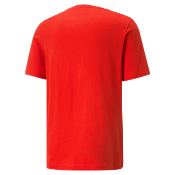 Fotbalové reprezentace pánské tričko Czech Republic FtblCore red