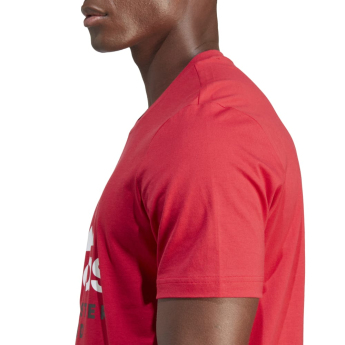 Manchester United pánské tričko DNA Graphic red