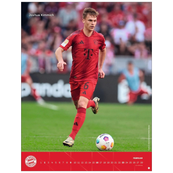 Bayern Mnichov kalendář 2025 Wall