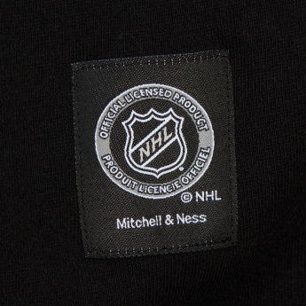 Dallas Stars pánská mikina s kapucí Retro Fleece Current Logo