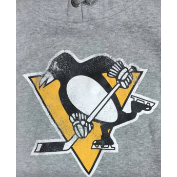 Pittsburgh Penguins pánská mikina s kapucí grey Knockaround Headline