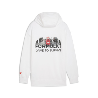 Formule 1 pánská mikina s kapucí DTS Relaxed white F1 Team 2025