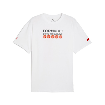 Formule 1 pánské tričko DTS Relaxed white F1 Team 2025