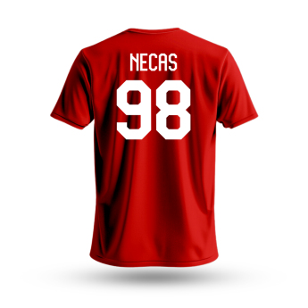 Hokejové reprezentace pánské tričko Czech republic Martin Nečas #98 National Emblem 2025 red