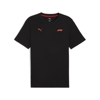 Formule 1 pánské tričko Small Logo black F1 Team 2025