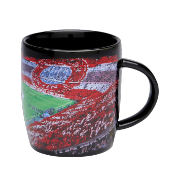 Bayern Mnichov hrníček Arena