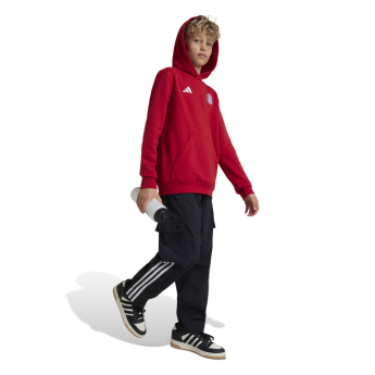 Bayern Mnichov dětská mikina s kapucí Hoody red