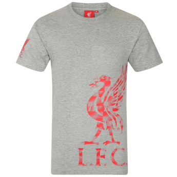 FC Liverpool pánské tričko Graphic grey
