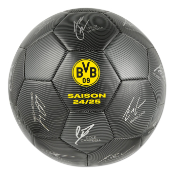 Borussia Dortmund fotbalový míč 24/25 with signatures