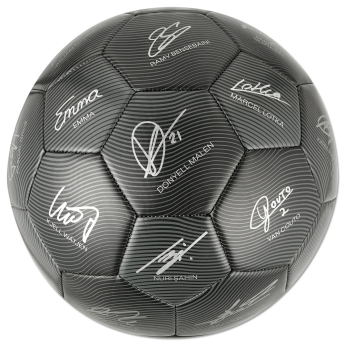 Borussia Dortmund fotbalový míč 24/25 with signatures
