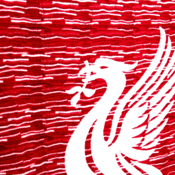 FC Liverpool osuška Beach