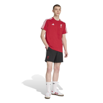 FC Liverpool pánské tričko DNA Tee red