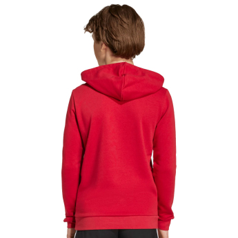 FC Liverpool dětská mikina s kapucí Hoody red