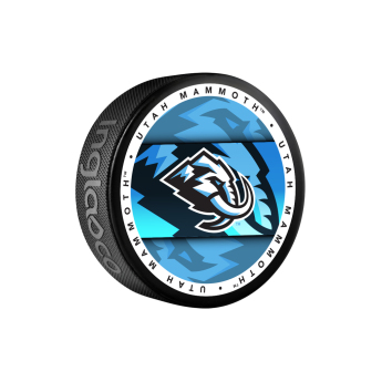 Utah Hockey Club puk Mammoth Medallion Souvenir Collector