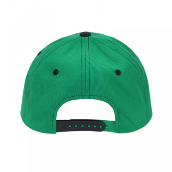 Dallas Stars Kšiltovka NHL Staple Adjustable