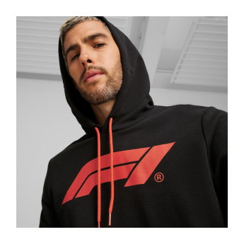 Formule 1 pánská mikina s kapucí Logo black 2024