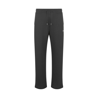 Mercedes AMG Petronas pánské kalhoty Relaxed Fit grey F1 Team 2024