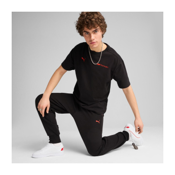 Formule 1 pánské tričko Essential Relaxed Logo black F1 Team 2025