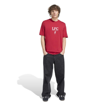 FC Liverpool pánské tričko SLab graphic red