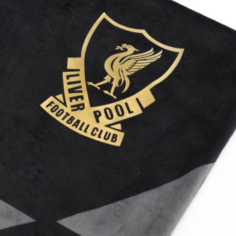 FC Liverpool sada povlaků black