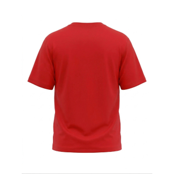 Detroit Red Wings pánské tričko Tek Patch red