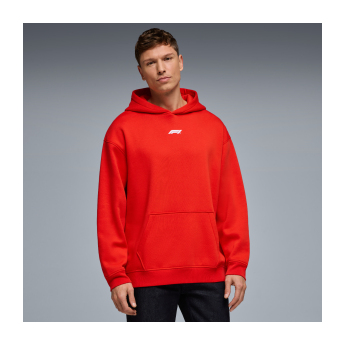 Formule 1 pánská mikina s kapucí Racing Line red 2026