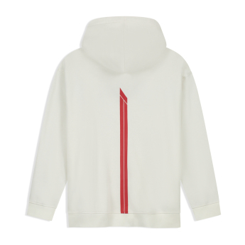 Formule 1 pánská mikina s kapucí Racing Line white 2026