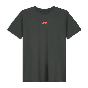 Formule 1 pánské tričko RDW Graphic black 2026