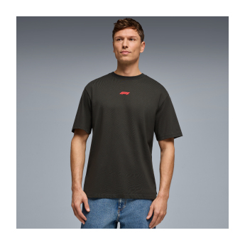 Formule 1 pánské tričko RDW Graphic black 2026