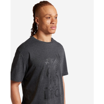 FC Liverpool pánské tričko Liverbird charcoal
