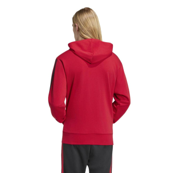 Manchester United pánská mikina DNA Hoodie