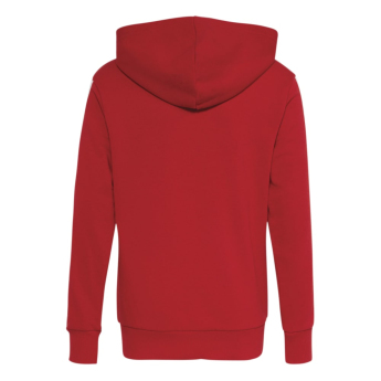 Bayern Mnichov dětská mikina Hoodie