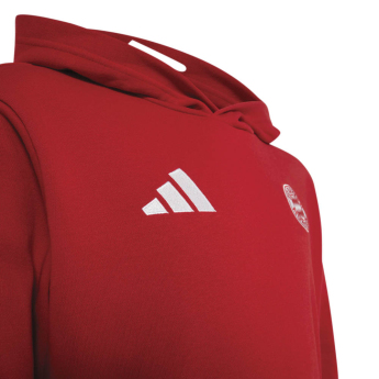 Bayern Mnichov dětská mikina Hoodie