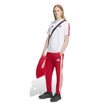 Bayern Mnichov pánské tričko Tee white