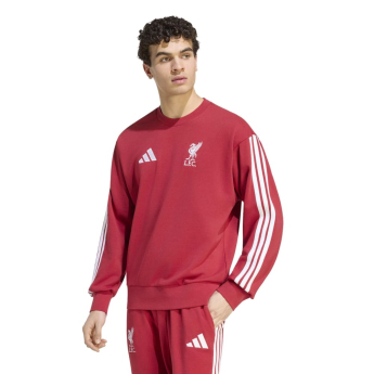 FC Liverpool pánská mikina DNA Sweat red