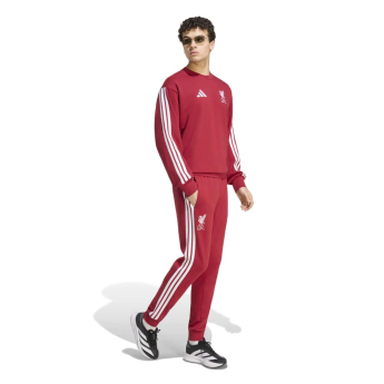 FC Liverpool pánská mikina DNA Sweat red