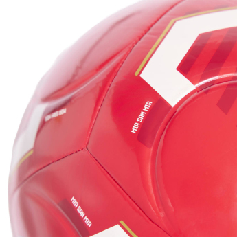 Bayern Mnichov míč Club Home