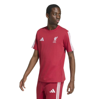 FC Liverpool pánské tričko DNA Tee active
