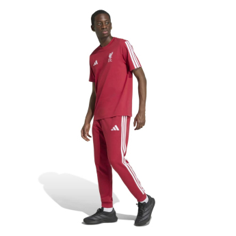 FC Liverpool pánské tričko DNA Tee active
