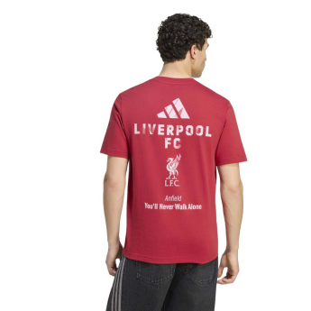 FC Liverpool pánské tričko Seasonal red