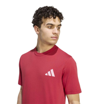 FC Liverpool pánské tričko Seasonal red