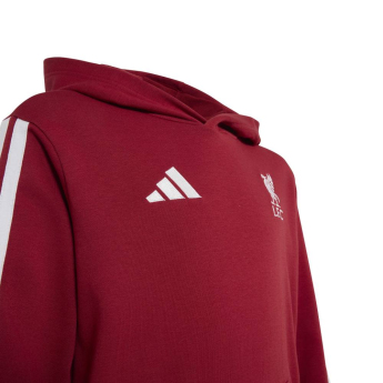 FC Liverpool dětská mikina s kapucí Hoody active