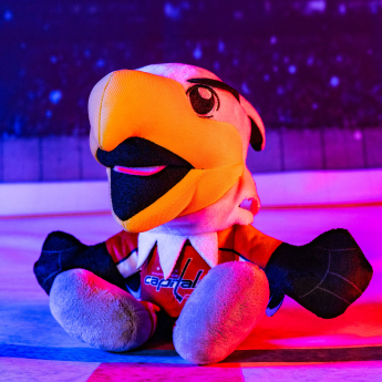 Plyšový maskot Washington Capitals NHL Slapshot #8" Kuricha